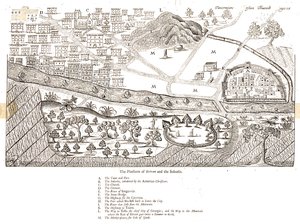 Panorama d